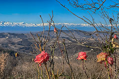 Country House for sale in Piemonte - Country House in the most panoramic location